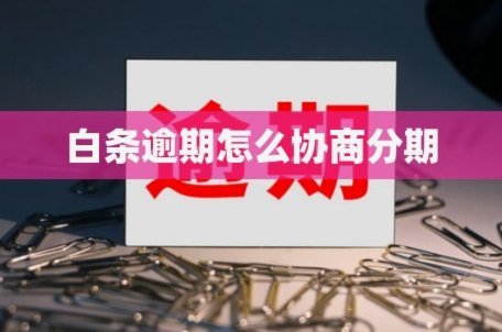 白条逾期协商延期及费用处理